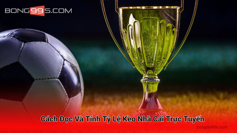 Cách Đọc Và Tính Tỷ Lệ Kèo Nhà Cái Trực Tuyến